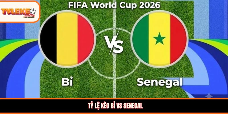 Tỷ lệ kèo Bỉ vs Senegal