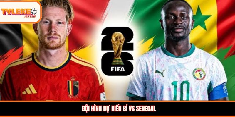 Đội hình dự kiến Bỉ vs Senegal