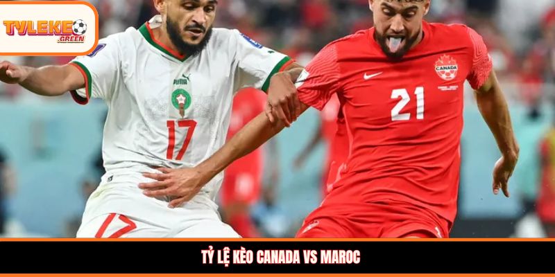 Tỷ lệ kèo Canada vs Maroc